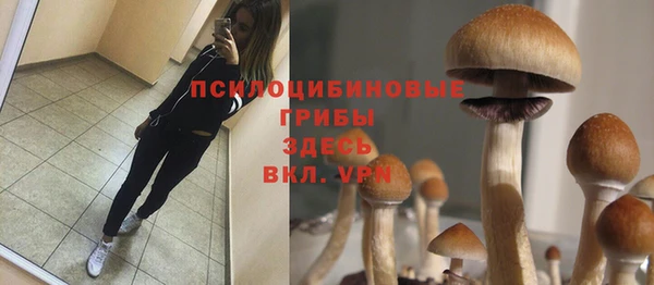 a pvp Всеволожск