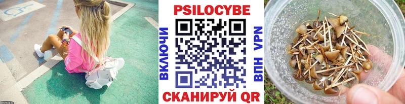 Псилоцибиновые грибы Psilocybine cubensis  Сасово 